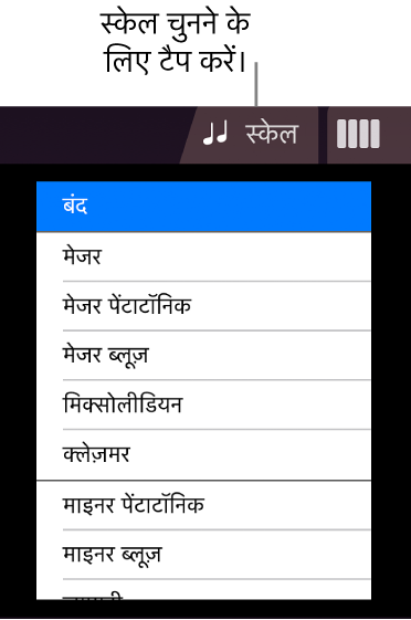 “स्ट्रिंग स्केल” बटन और स्केल सूची