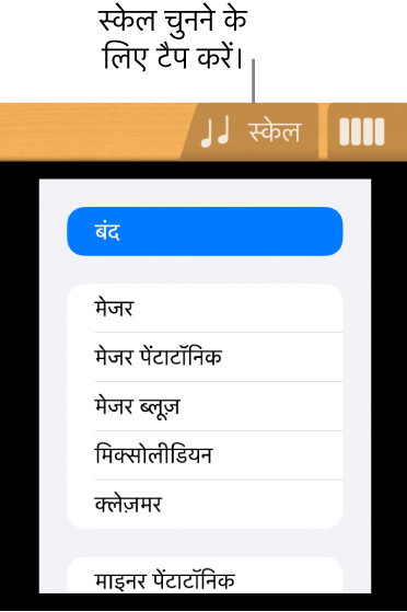 “गिटार स्केल” बटन
