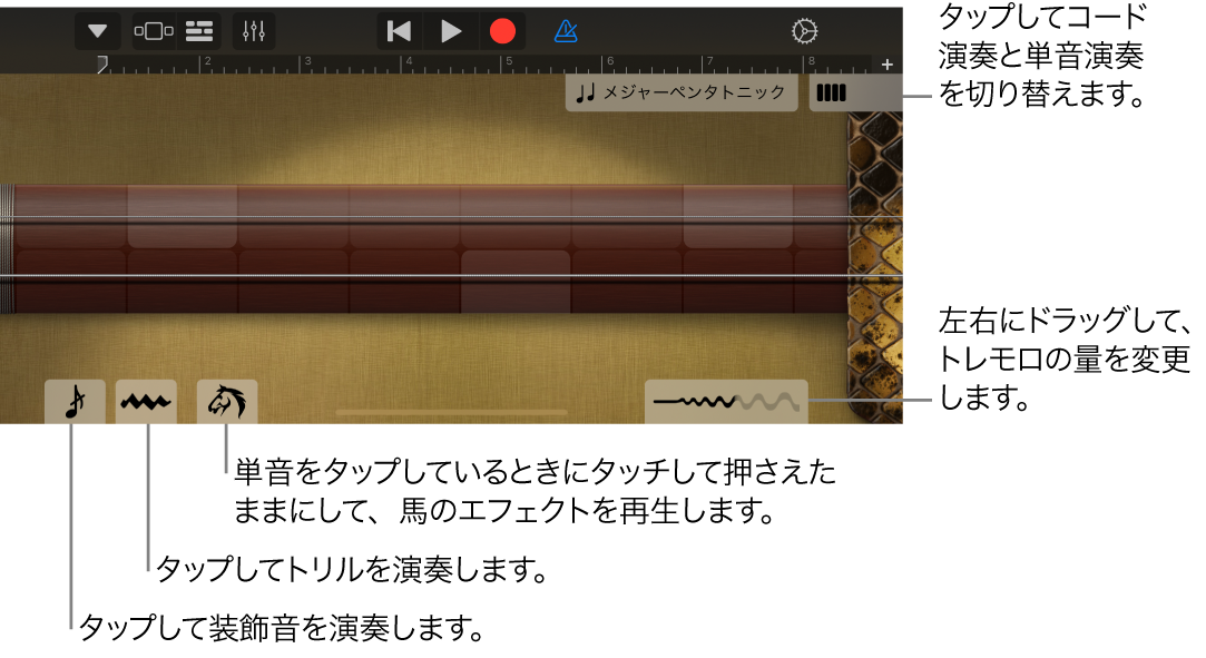 Notes表示のErhu