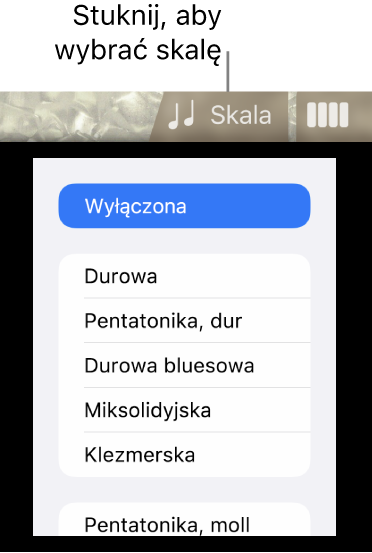 Przycisk skali instrumentu Basy oraz lista skal