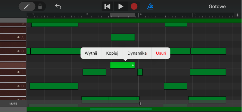 Edytor z zaznaczonym dźwiękiem