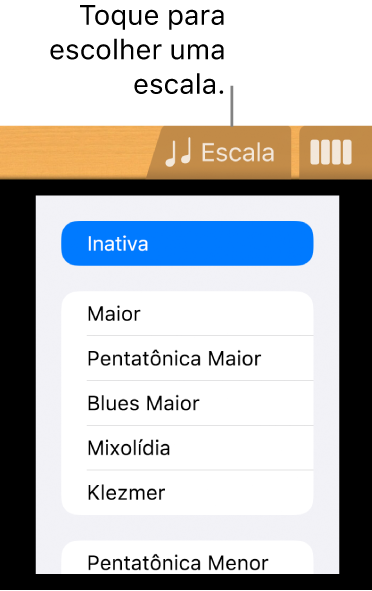 Botão Escala da Guitarra