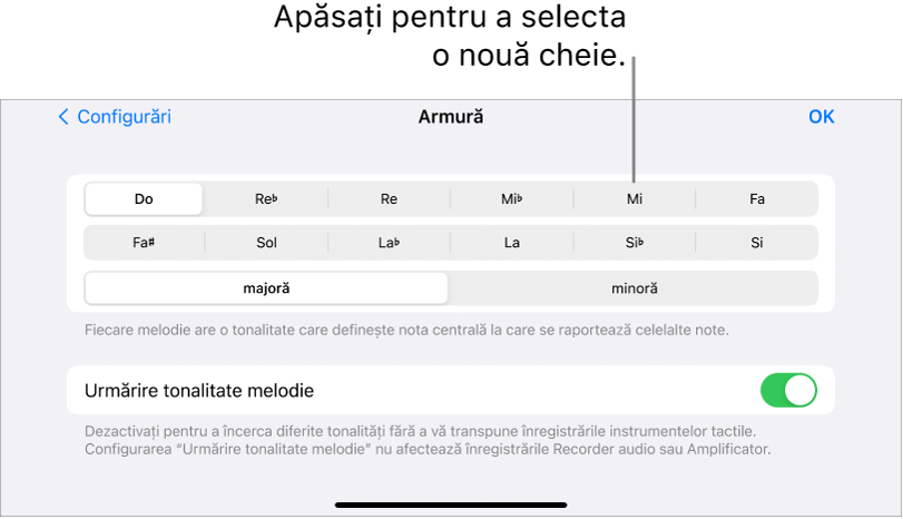 Comenzi pentru cheie în Configurări melodie