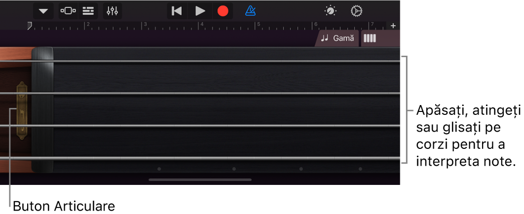 Vizualizare Note pe instrumentul tactil Coarde