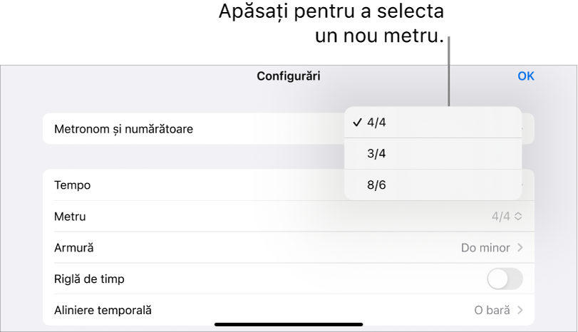 Comenzi pentru metru în Configurări melodie