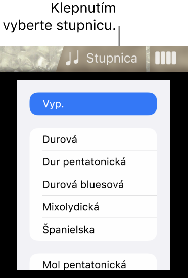 Tlačidlo Stupnica a zoznam Stupnice nástroja Basa