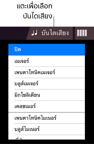 ปุ่มบันไดเสียงครื่องสายเและรายการบันไดเสียง