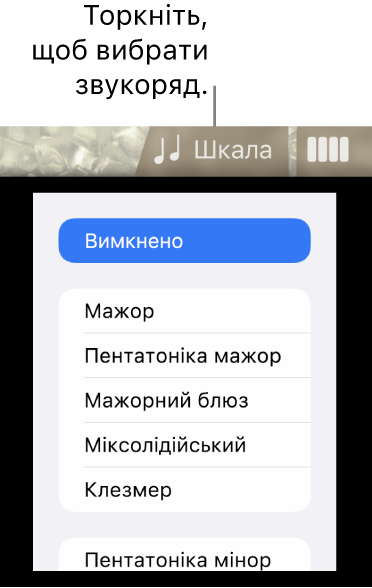 Кнопка «Звукоряд басу» і список звукорядів