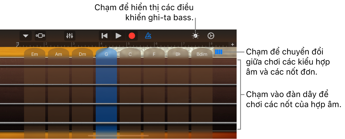 Nhạc cụ cảm ứng Ghi-ta bass