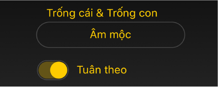 Hình ảnh. Công tắc Tuân theo Drummer và menu.