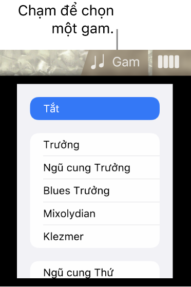 Nút Gam Ghi-ta bass và danh sách Gam