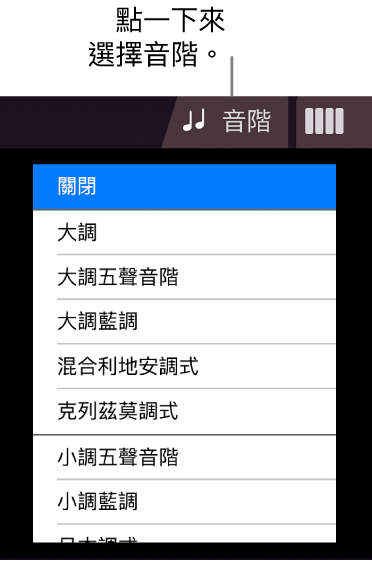 「琴弦音階」按鈕和「音階」列表