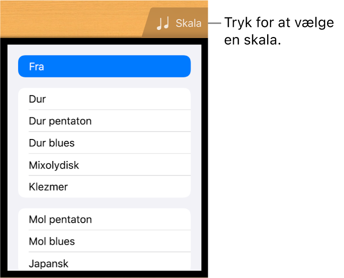 Knappen Skala til guitar og skalaliste