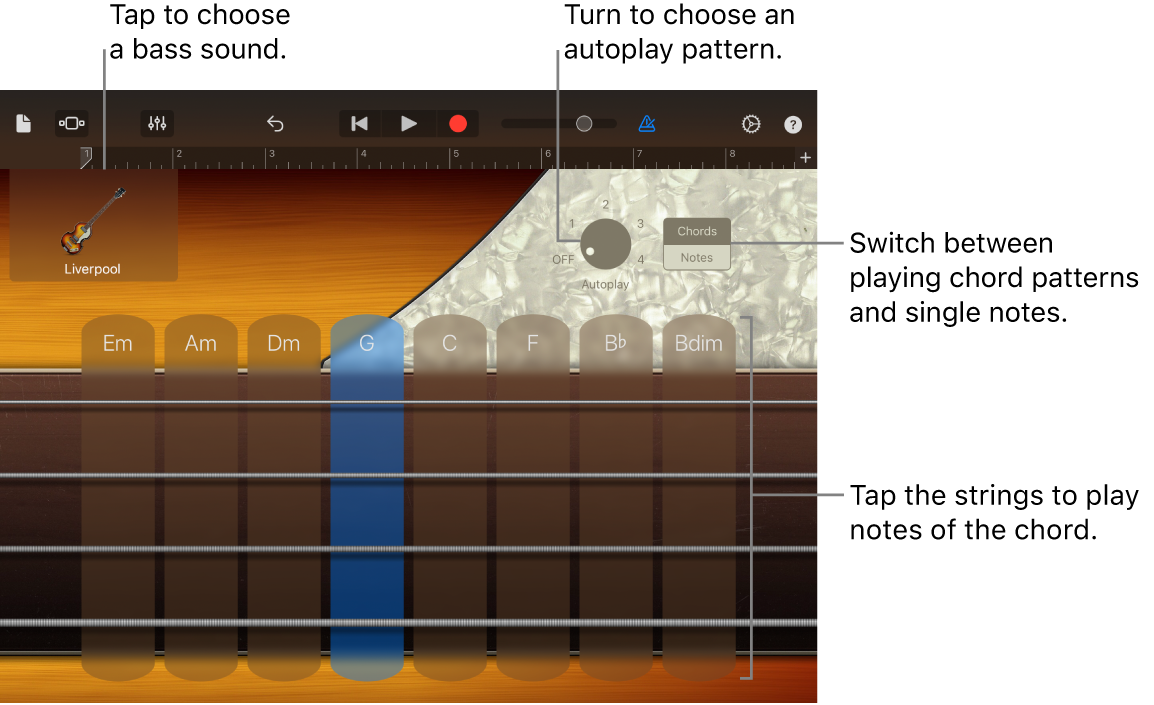 Bass Touch Instrument