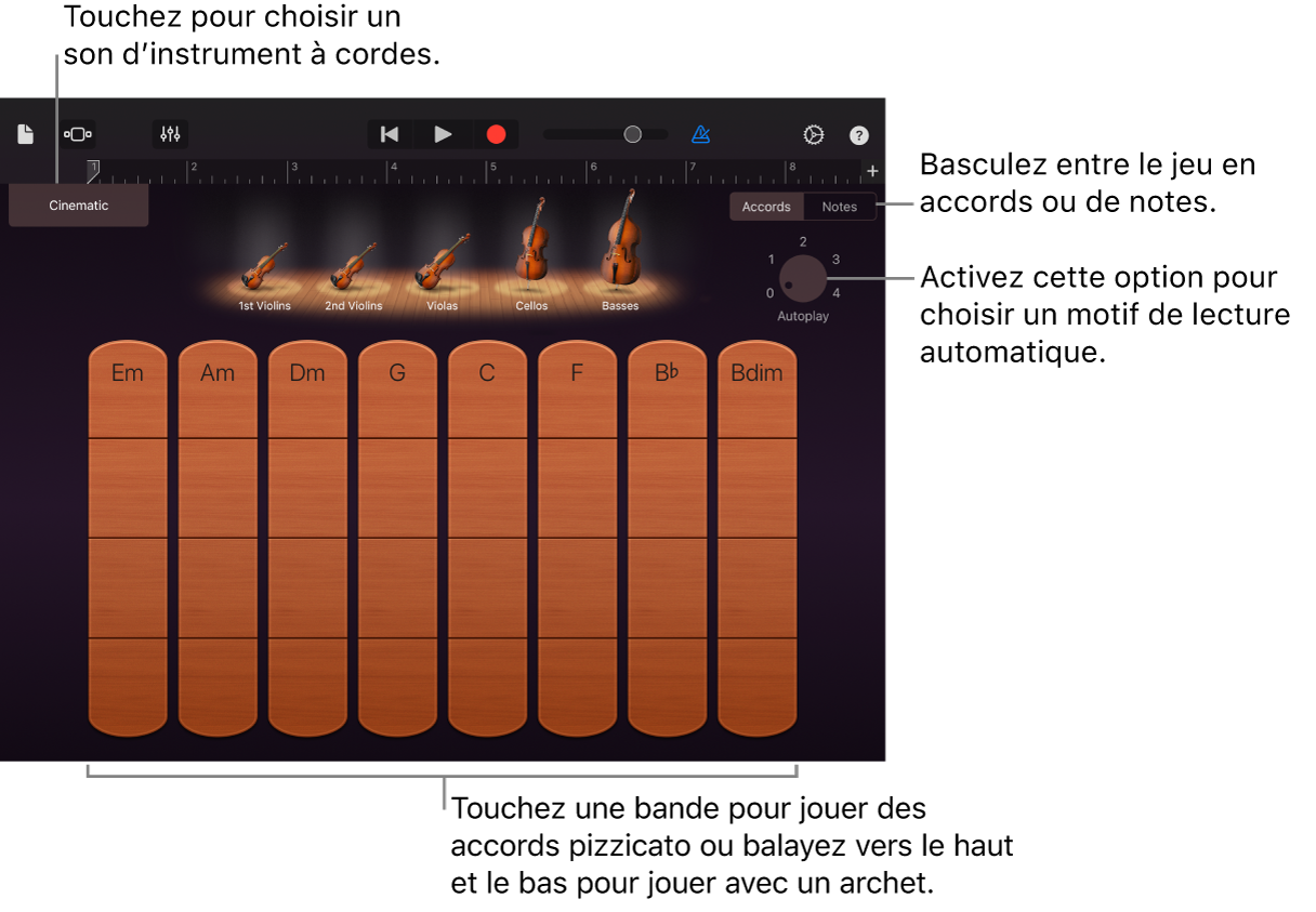 Instrument tactile cordes