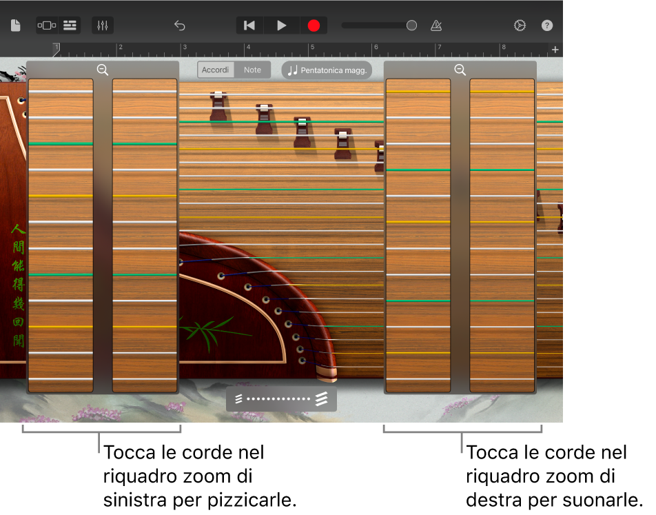 Riquadri zoom Guzheng