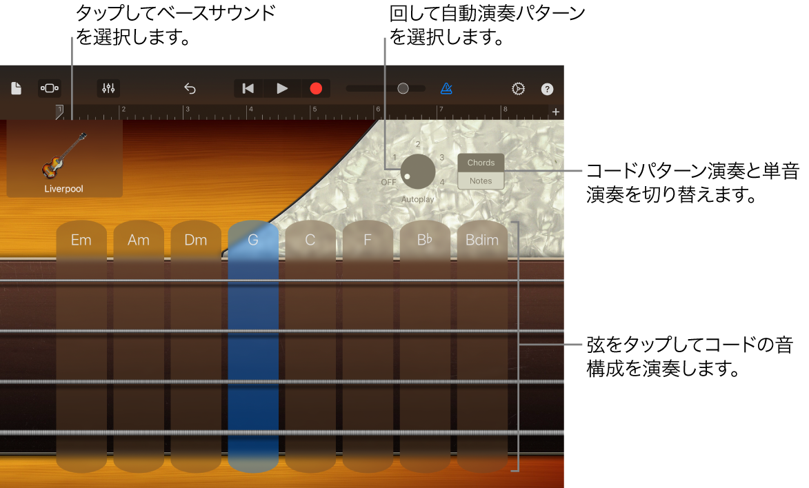 Bass Touch Instrument