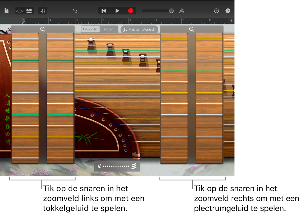 Zoomvelden guzheng