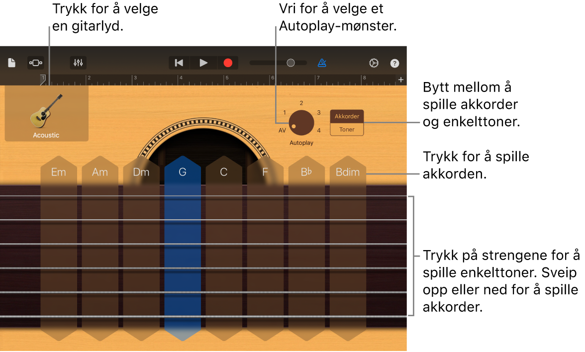 Touch-instrumentet Gitar