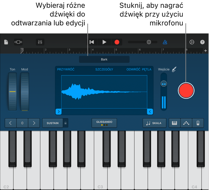 Instrument dotykowy — sampler