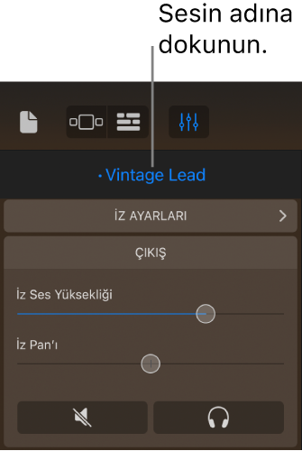 Resim. İz denetimlerinin üst tarafında şu anki sesin adı,