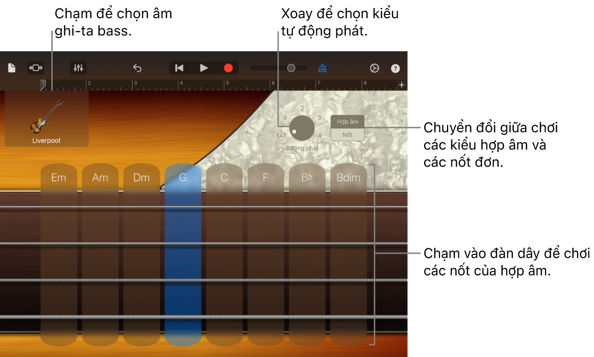 Nhạc cụ cảm ứng Ghi-ta bass