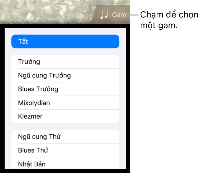 Nút Gam Ghi-ta bass và danh sách Gam