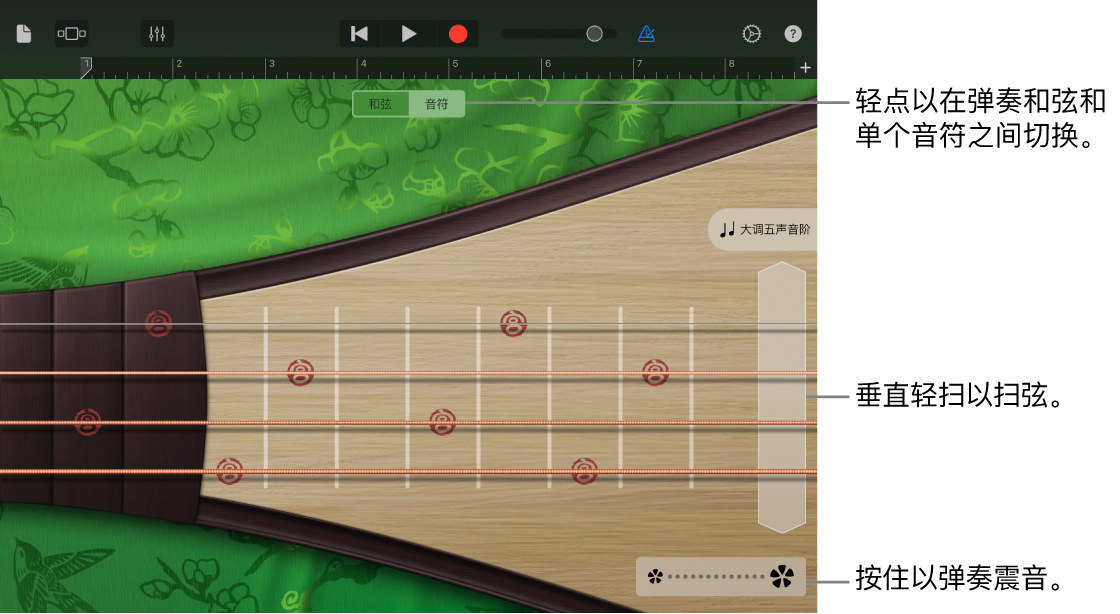 图。琵琶，“音符”视图。