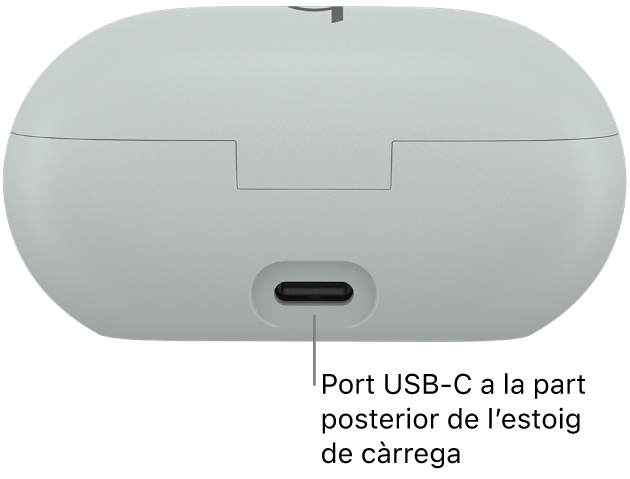 Port de càrrega USB-C de la part posterior de l’estoig de càrrega dels Beats Solo Buds