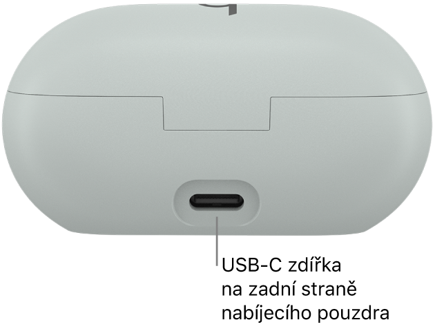 Nabíjecí USB‑C zdířka na zadní straně nabíjecího pouzdra sluchátek Beats Solo Buds