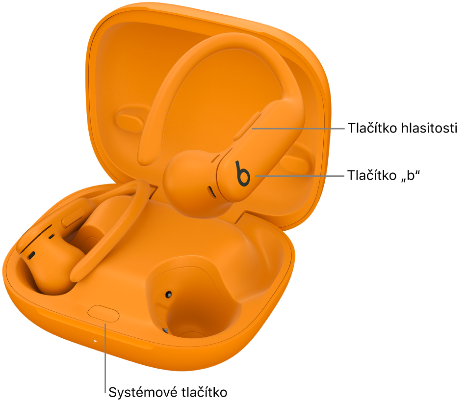 Obrázek Powerbeats Pro 2 s vyznačeným umístěním tlačítka „b“ na sluchátkách a systémového tlačítka v nabíjecím pouzdře