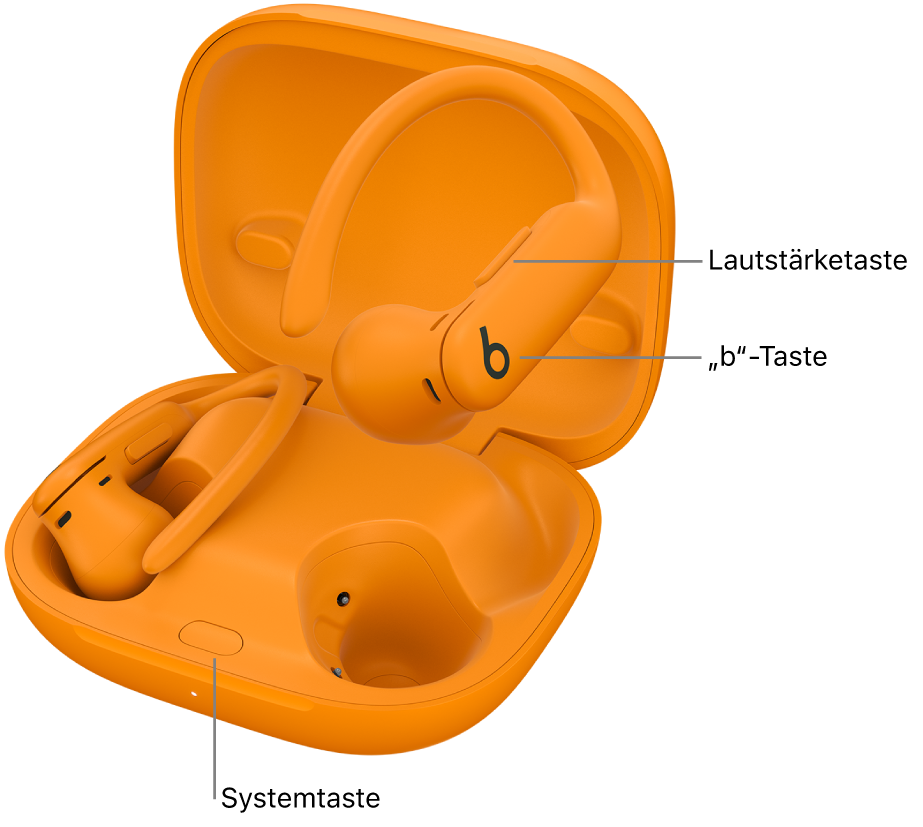 Eine Abbildung der Powerbeats Pro 2, auf der die Position der „b“-Taste auf einem Ohrhörern sowie die Position der Systemtaste innerhalb des Ladecase dargestellt wird.