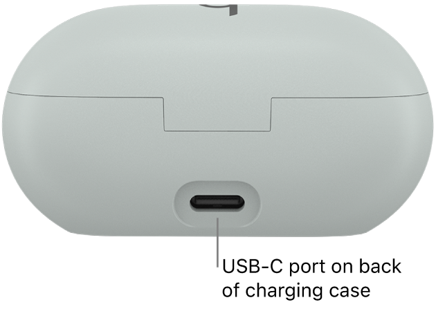 USB-C charging port on the back of the Beats Solo Buds charging case.