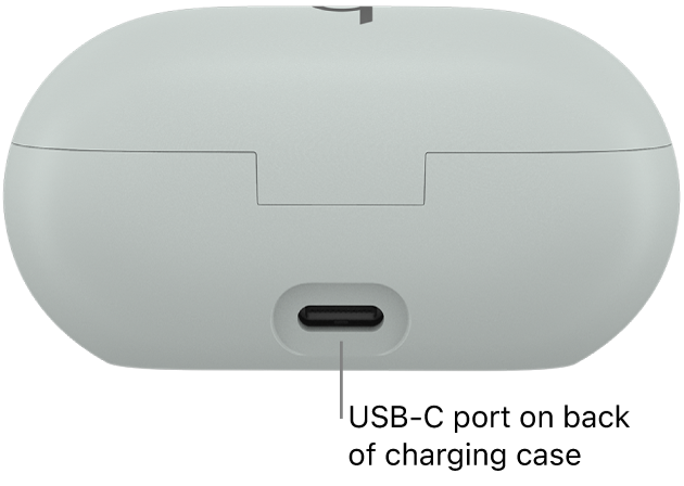 USB-C charging port on the back of the Beats Solo Buds charging case.