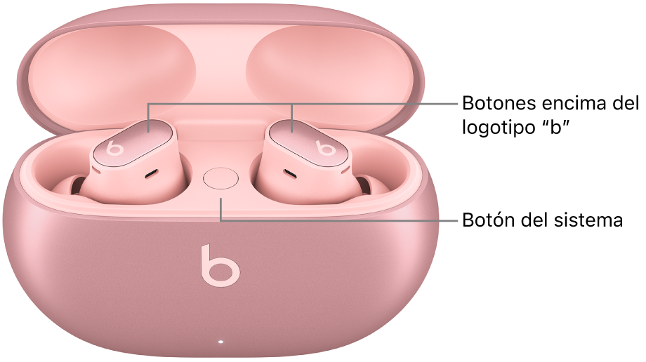 Imagen de los Beats Studio Buds + que muestra dónde se encuentran los botones encima del logotipo “b” en los auriculares y el botón del sistema dentro del estuche de carga.