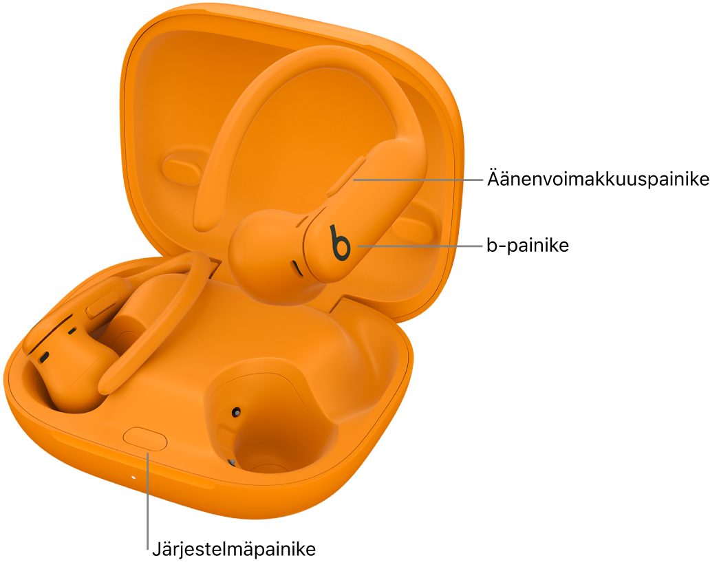 Kuva Powerbeats Pro 2 ‑kuulokkeista, joissa näkyy b-painikkeen sijainti kuulokkeissa ja järjestelmäpainikkeen sijainti latauskotelossa.