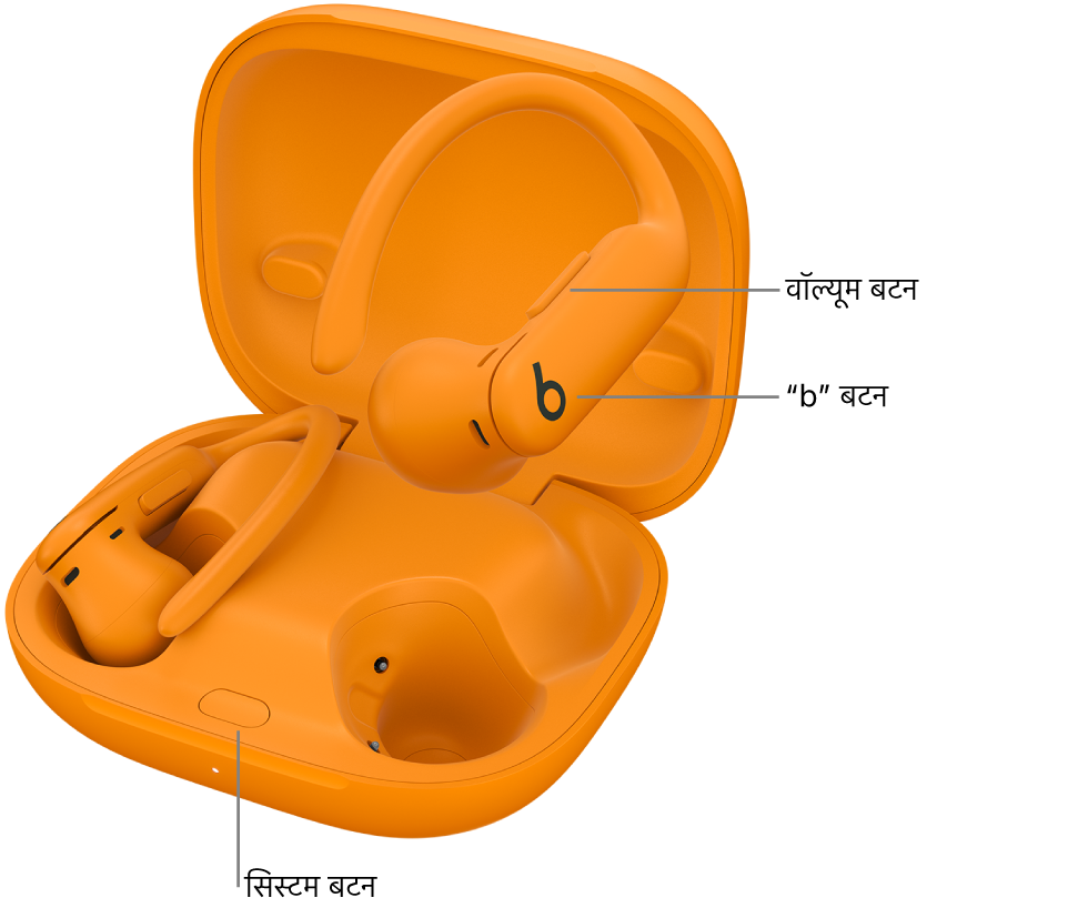 Powerbeats Pro 2 की इमेज जिसमें इयरबड्स पर "b" बटन का स्थान और चार्जिंग केस के अंदर सिस्टम बटन का स्थान दिखाया गया है।