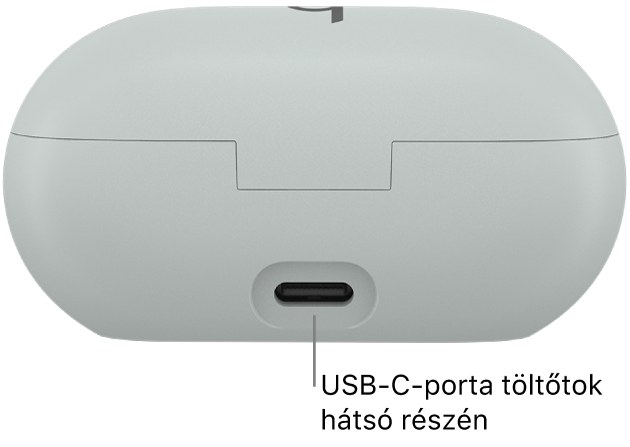 USB-C-töltőcsatlakozó a Beats Solo Buds töltőtokjának hátulján.