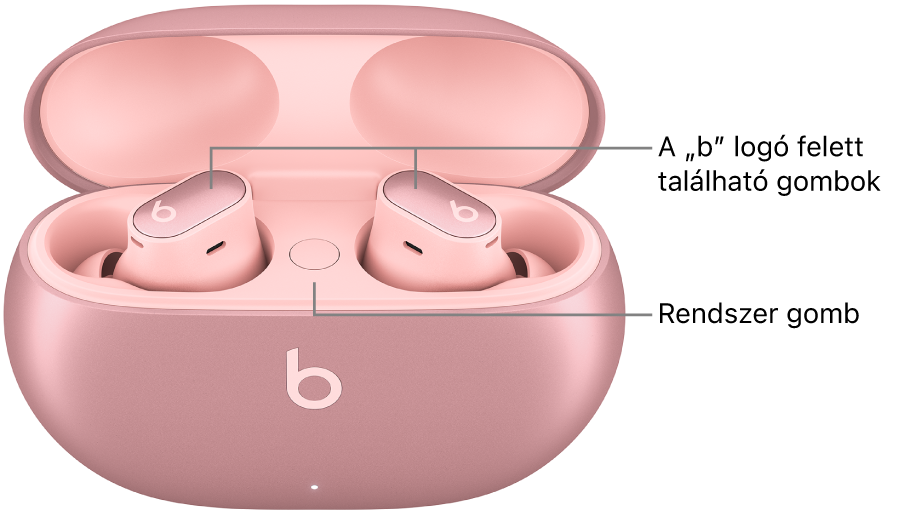Egy Beats Studio Buds + képe a füldugókon található „b” logó felett elhelyezkedő gombokkal és a töltőtokon belül található rendszergomb helyével.