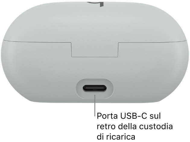Porta di ricarica USB-C sul retro della custodia dei Beats Solo Buds.