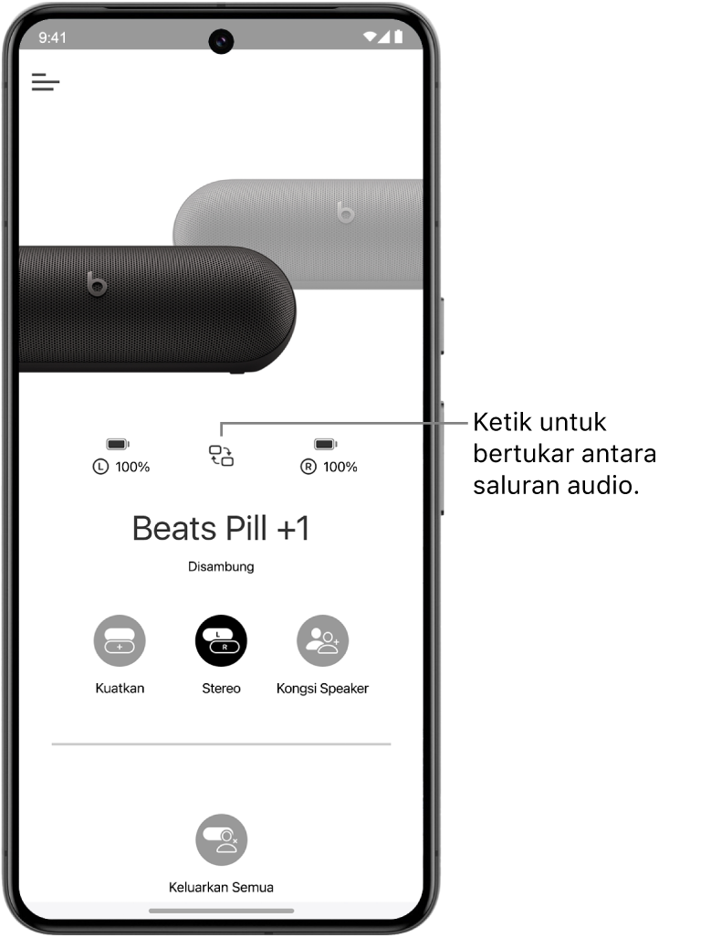 Skrin peranti app Beats menunjukkan dua speaker Beats Pill disambungkan dalam kumpulan Stereo dan butang untuk menukar saluran audio.