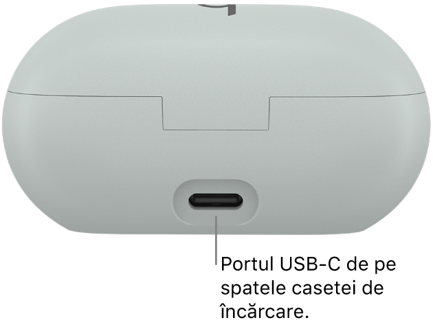 Portul de încărcare USB-C din partea din spate a casetei de încărcare Beats Solo Buds.
