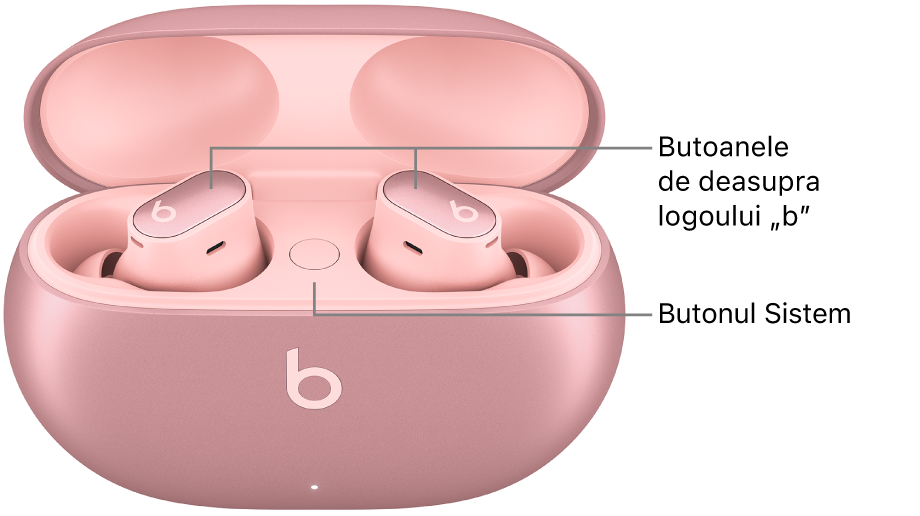 Imagine cu Beats Studio Buds + afișând locul butoanelor de deasupra logoului „b” de pe căștile intraauriculare și locul butonului de sistem din carcasa de încărcare.