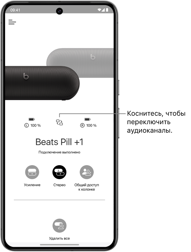 На экране устройства в приложении Beats показаны две подключенные колонки Beats Pill в режиме «Стерео» и кнопка для переключения аудиоканалов.