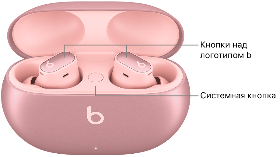 Изображены наушники Beats Studio Buds +. Показано расположение кнопок над логотипом b на наушниках и системной кнопки внутри зарядного футляра.