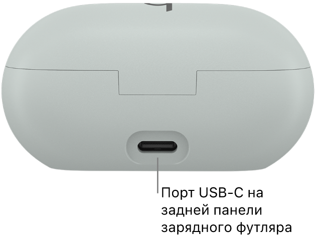 Зарядный порт USB‑C на задней стороне футляра Beats Solo Buds.