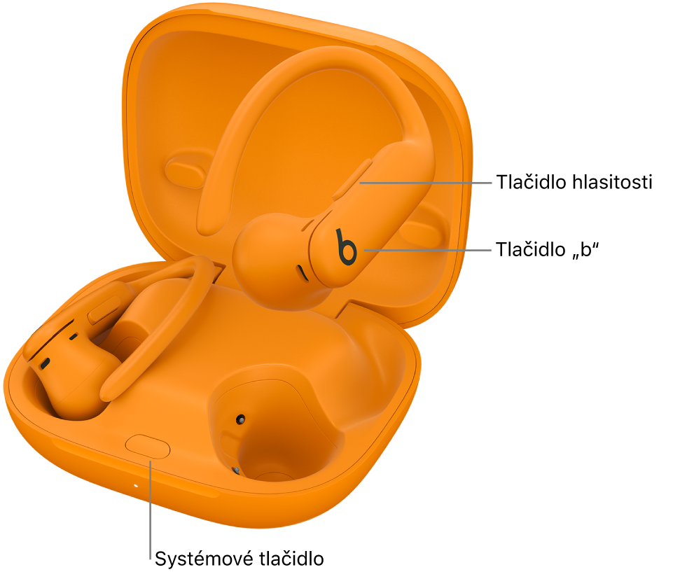 Obrázok slúchadiel Powerbeats Pro 2 zobrazujúci umiestnenie tlačidla „b“ na slúchadlách a umiestnenie systémového tlačidla vo vnútri nabíjacieho puzdra.