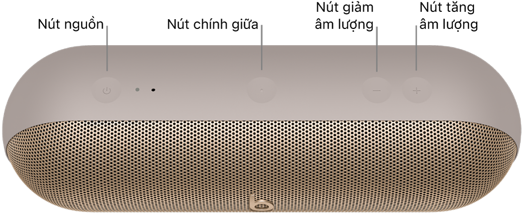 Hình ảnh loa Beats Pill đang hiển thị (từ trái sang phải) vị trí của các nút nguồn, chính giữa, giảm âm lượng và tăng âm lượng ở mặt trên của loa.
