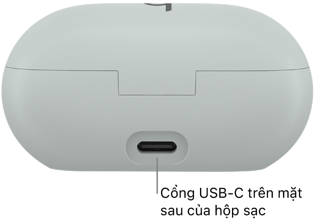 Cổng sạc USB-C nằm ở mặt sau của hộp sạc Beats Solo Buds.