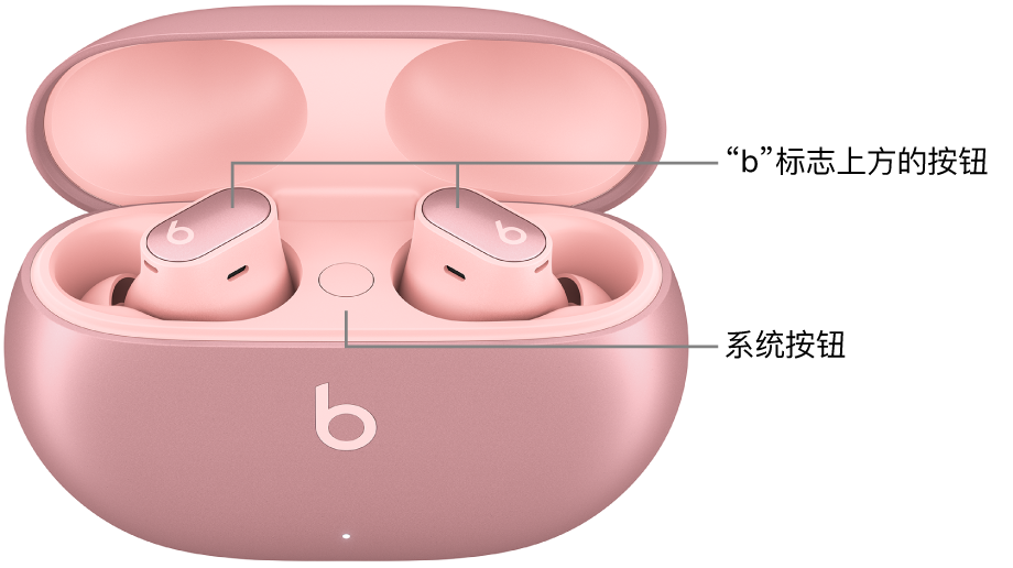 Beats Studio Buds + 的图像显示耳塞上“b”标志上方按钮的位置,以及充电盒内系统按钮的位置。